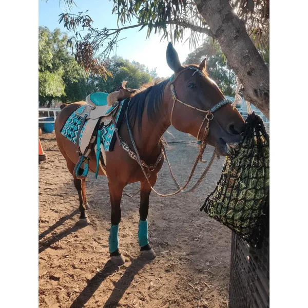 14", 15", 16" Double T Barrel Style Saddle with Filigree Print Seat.