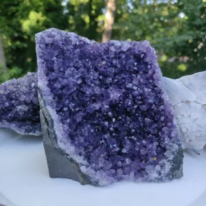 Amethyst Geode Free Form, Cut Base (#33)