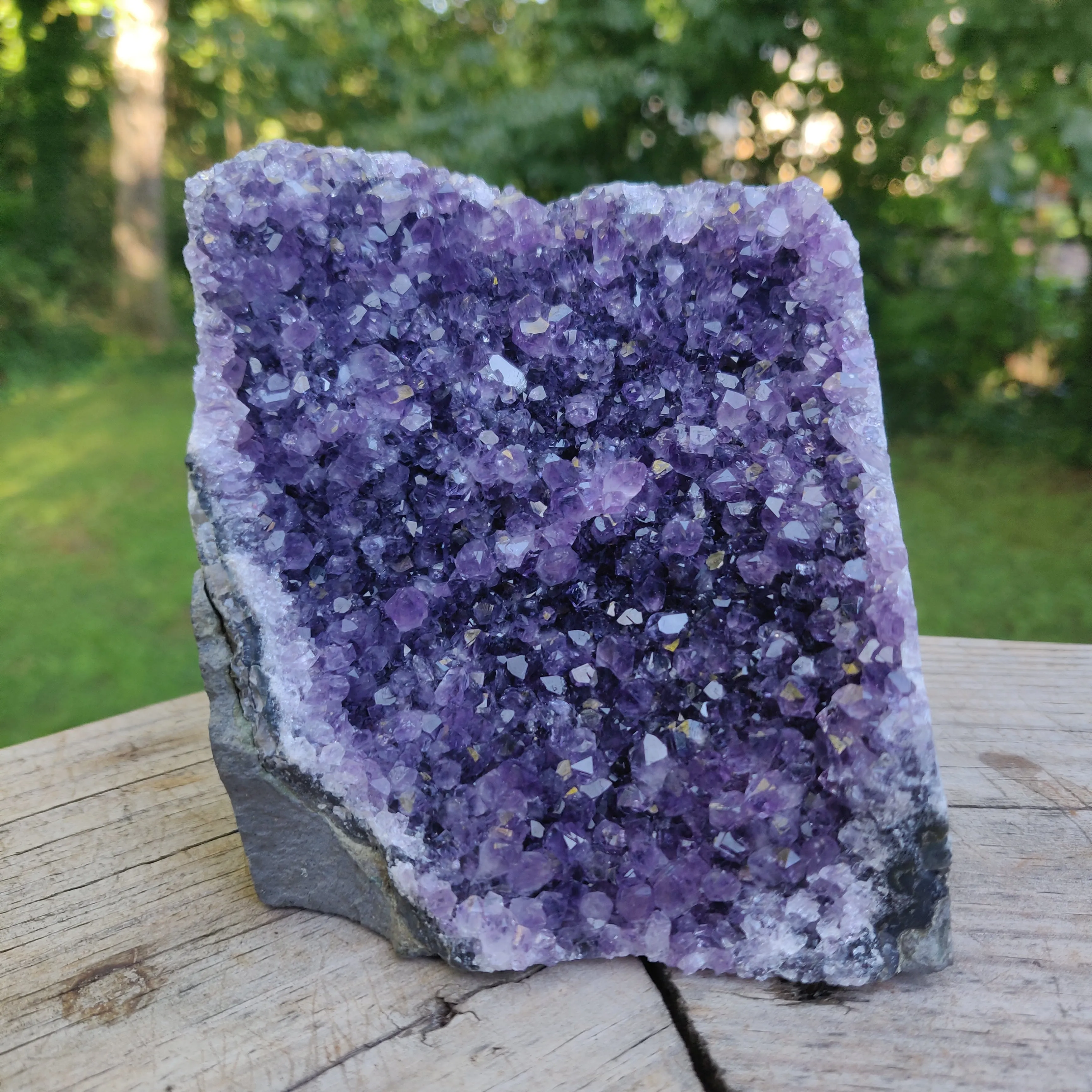 Amethyst Geode Free Form, Cut Base (#33)