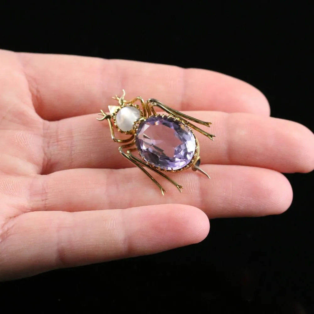 Antique Victorian Bug Brooch - Gold - Moonstone & Amethyst