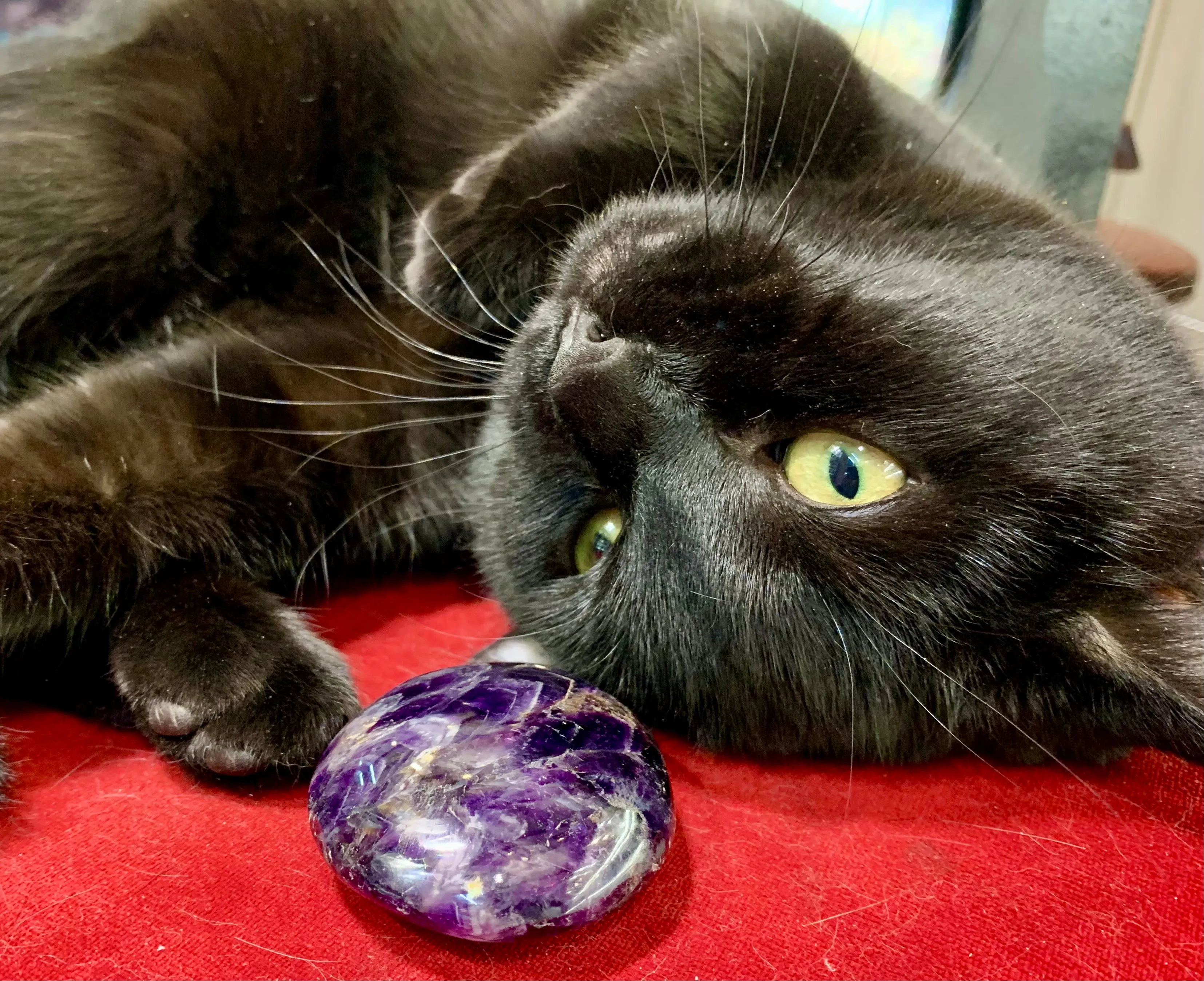 Deep Purple Chevron Amethyst Cabochon Crystal