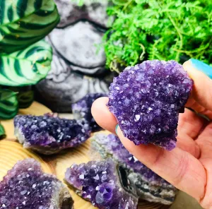 Mini Amethyst Cluster