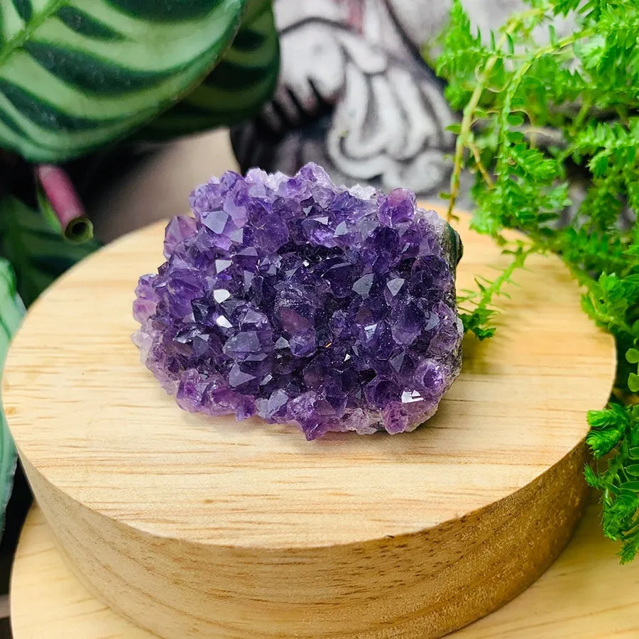 Mini Amethyst Cluster