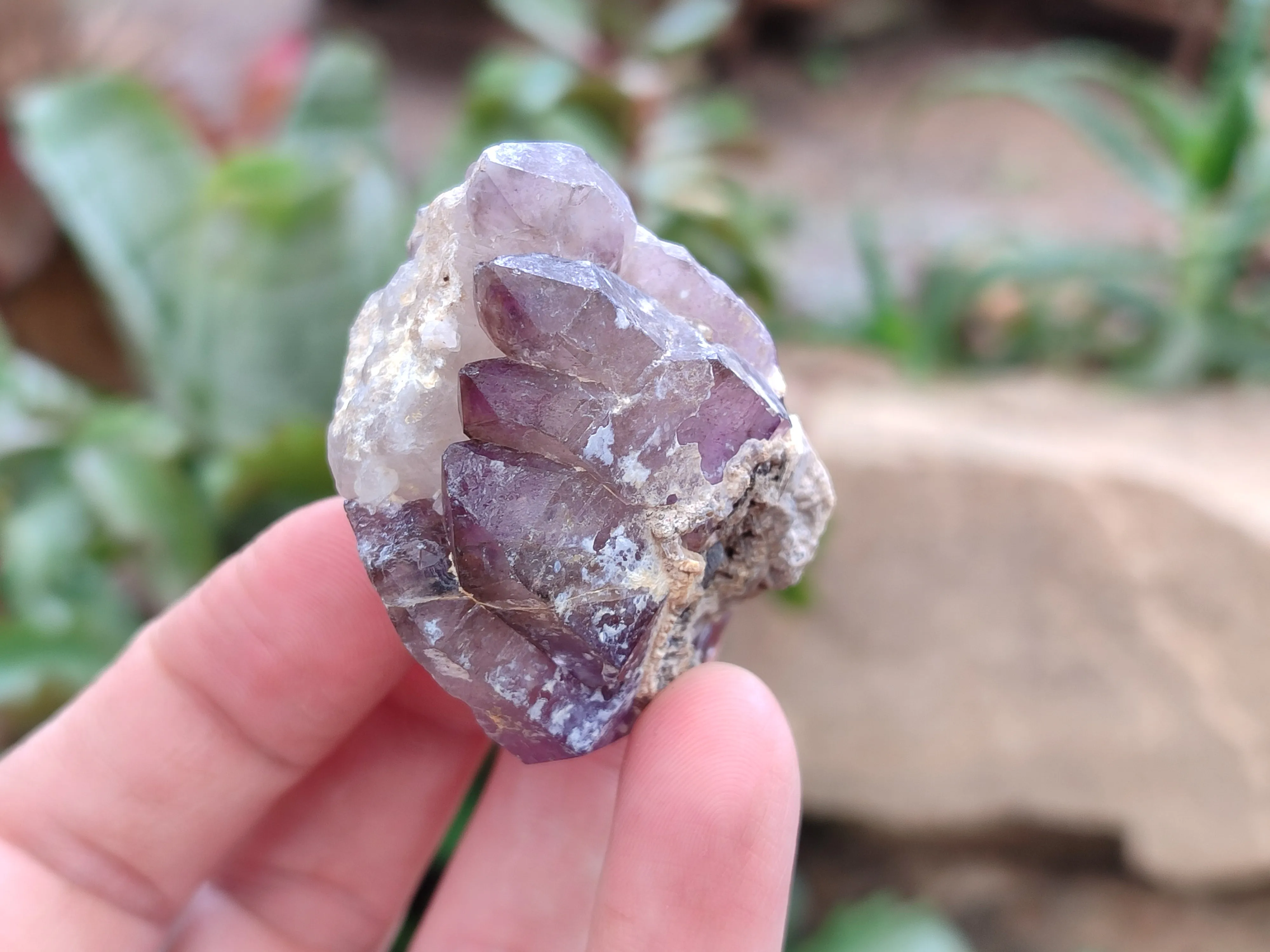 Natural Amethyst Quartz Crystals x 12 From Chiredzi, Zimbabwe