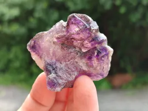 Natural Amethyst Quartz Crystals x 12 From Chiredzi, Zimbabwe