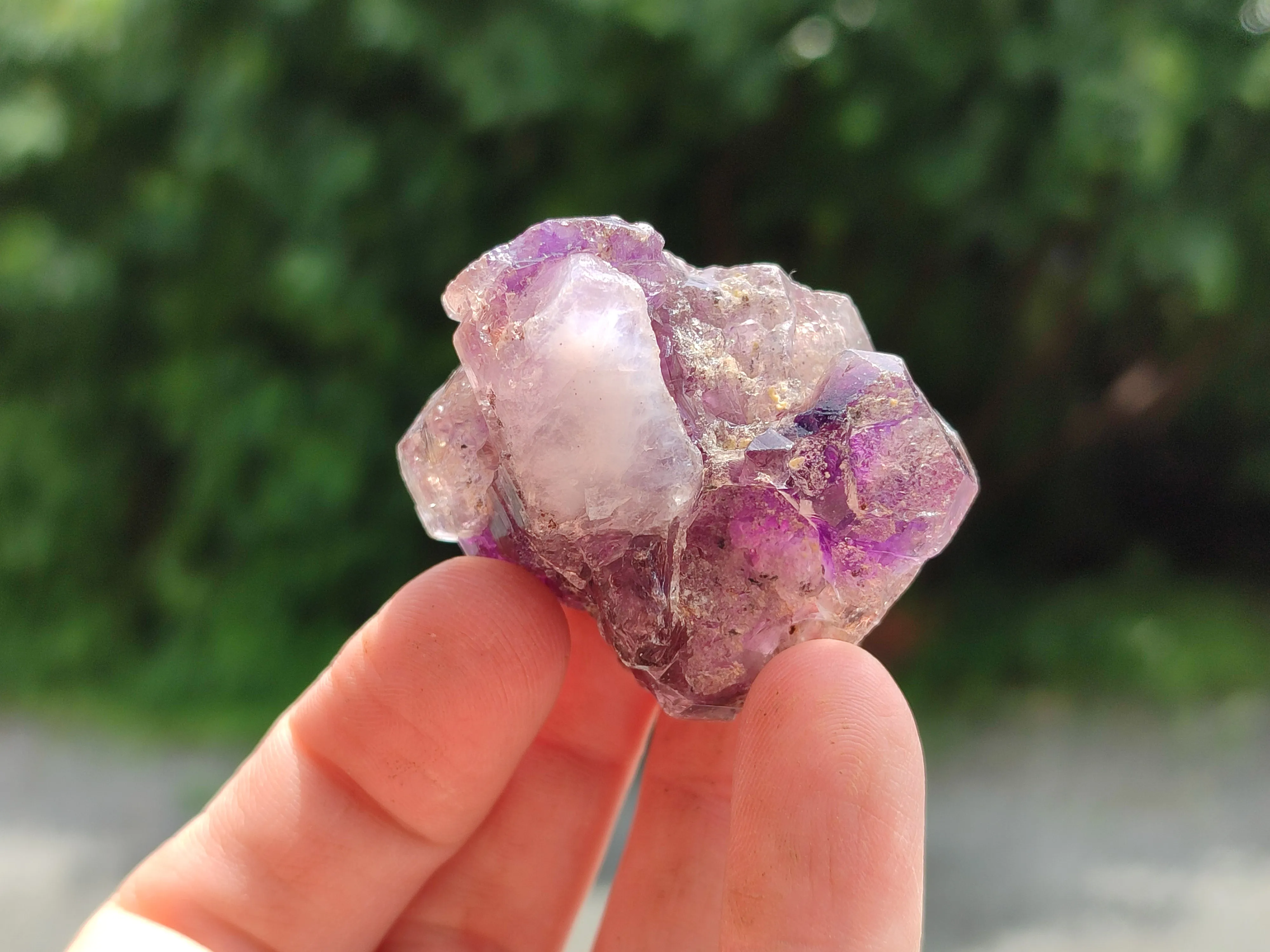 Natural Amethyst Quartz Crystals x 12 From Chiredzi, Zimbabwe