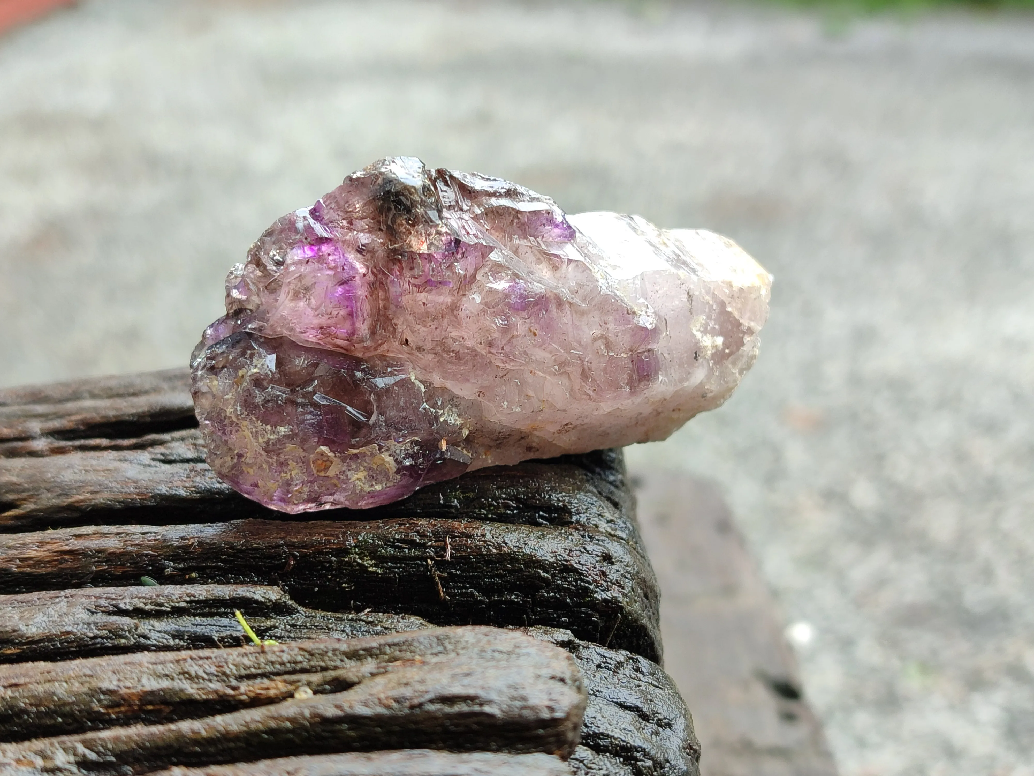 Natural Amethyst Quartz Crystals x 12 From Chiredzi, Zimbabwe