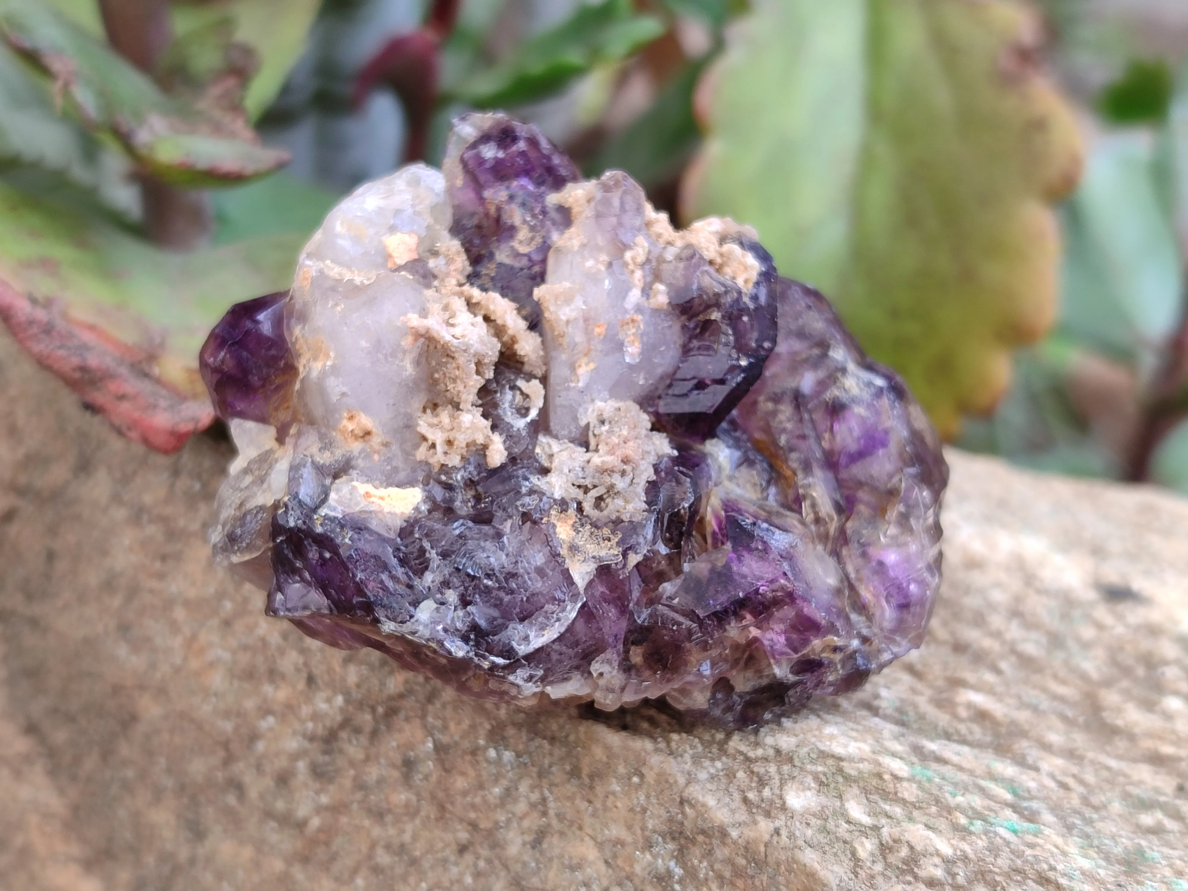 Natural Amethyst Quartz Crystals x 12 From Chiredzi, Zimbabwe