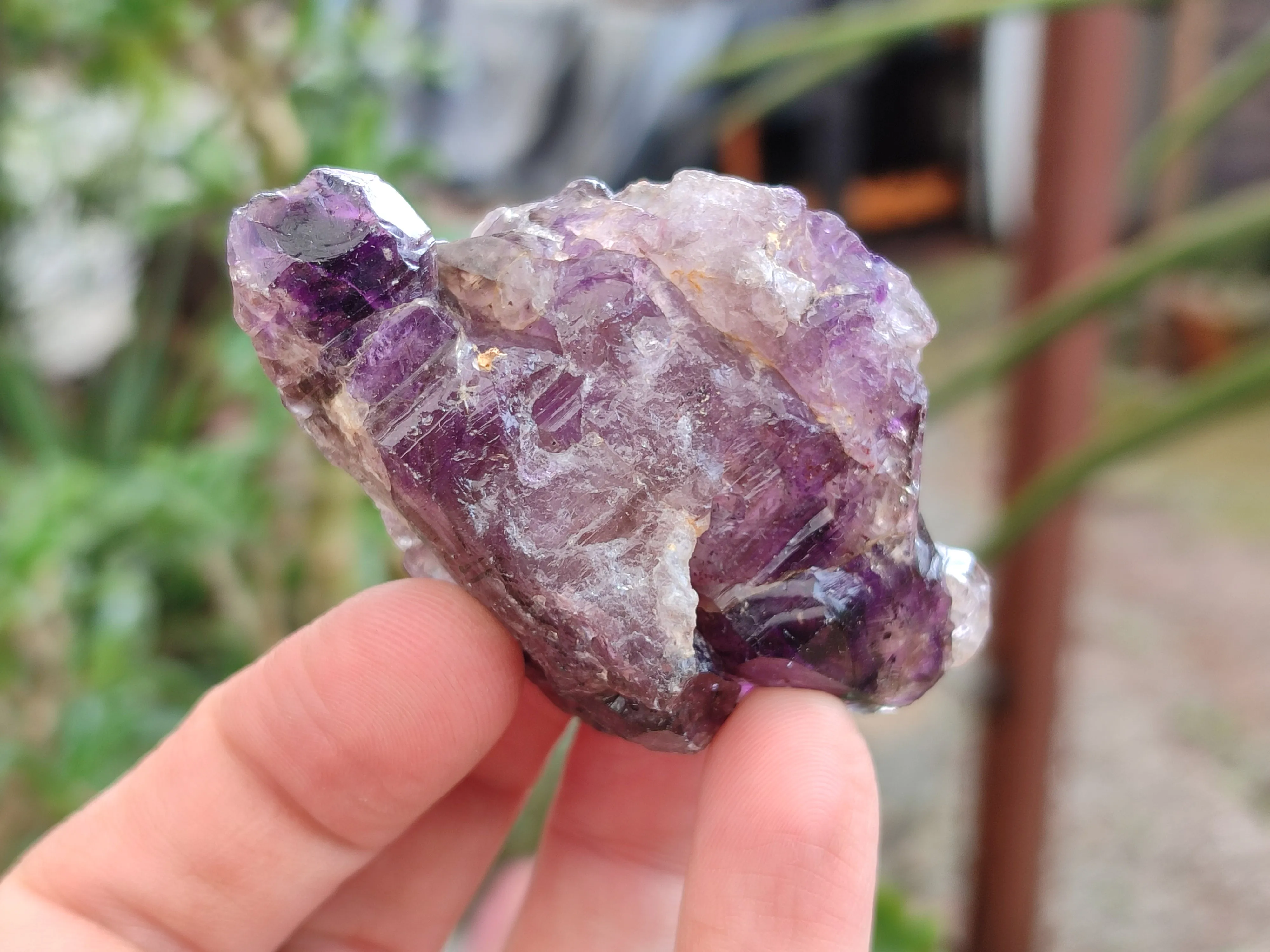 Natural Amethyst Quartz Crystals x 12 From Chiredzi, Zimbabwe