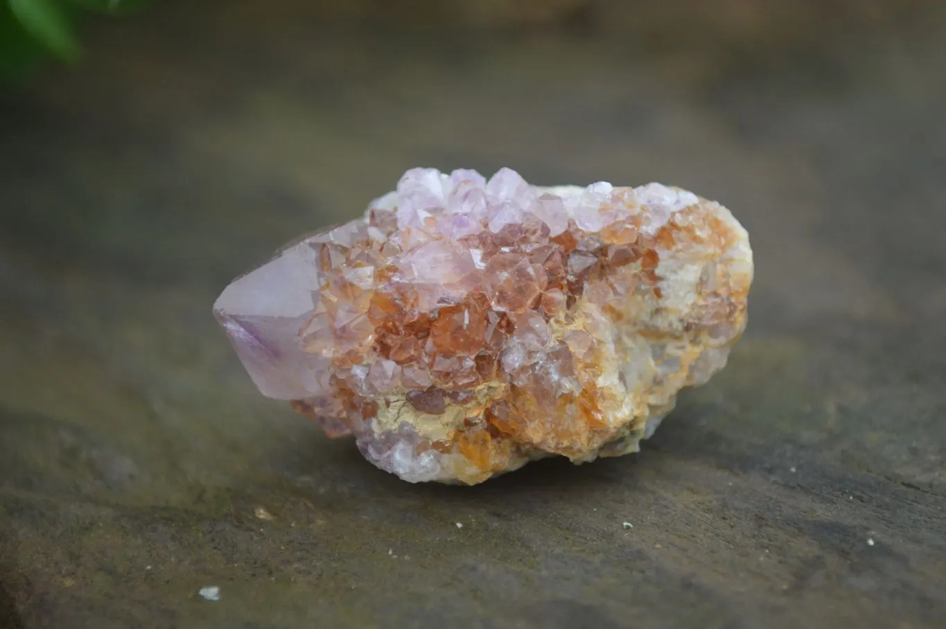 Natural Spirit Amethyst / Ametrine Quartz Crystals x 35 From Boekenhouthoek, South Africa