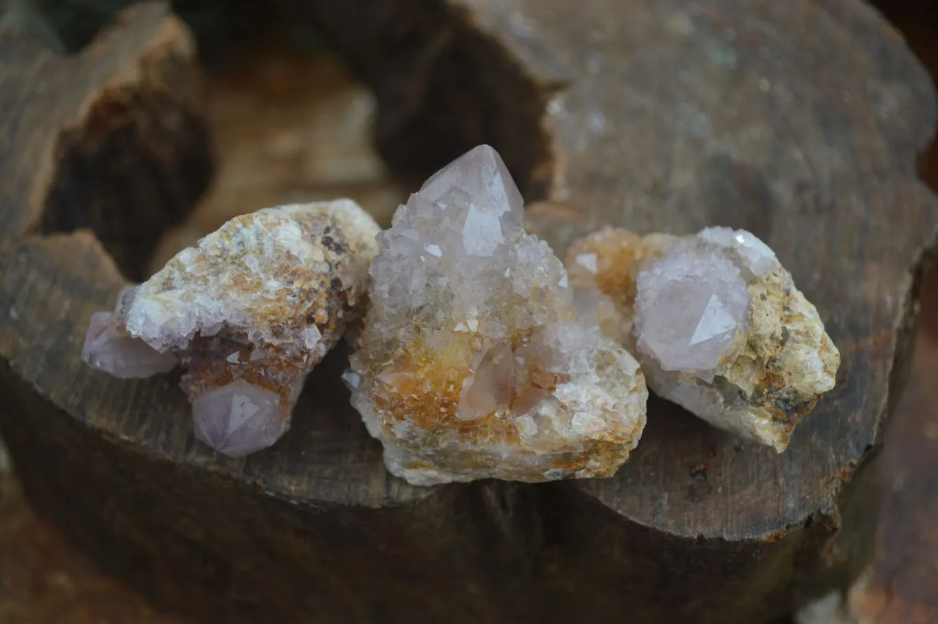 Natural Spirit Amethyst / Ametrine Quartz Crystals x 35 From Boekenhouthoek, South Africa