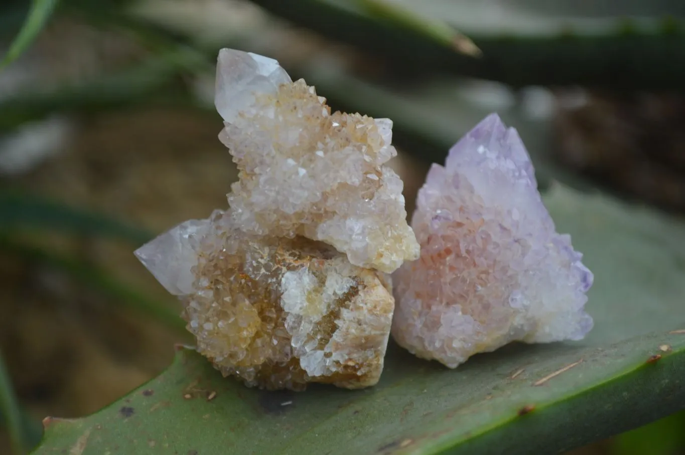 Natural Spirit Amethyst / Ametrine Quartz Crystals x 35 From Boekenhouthoek, South Africa