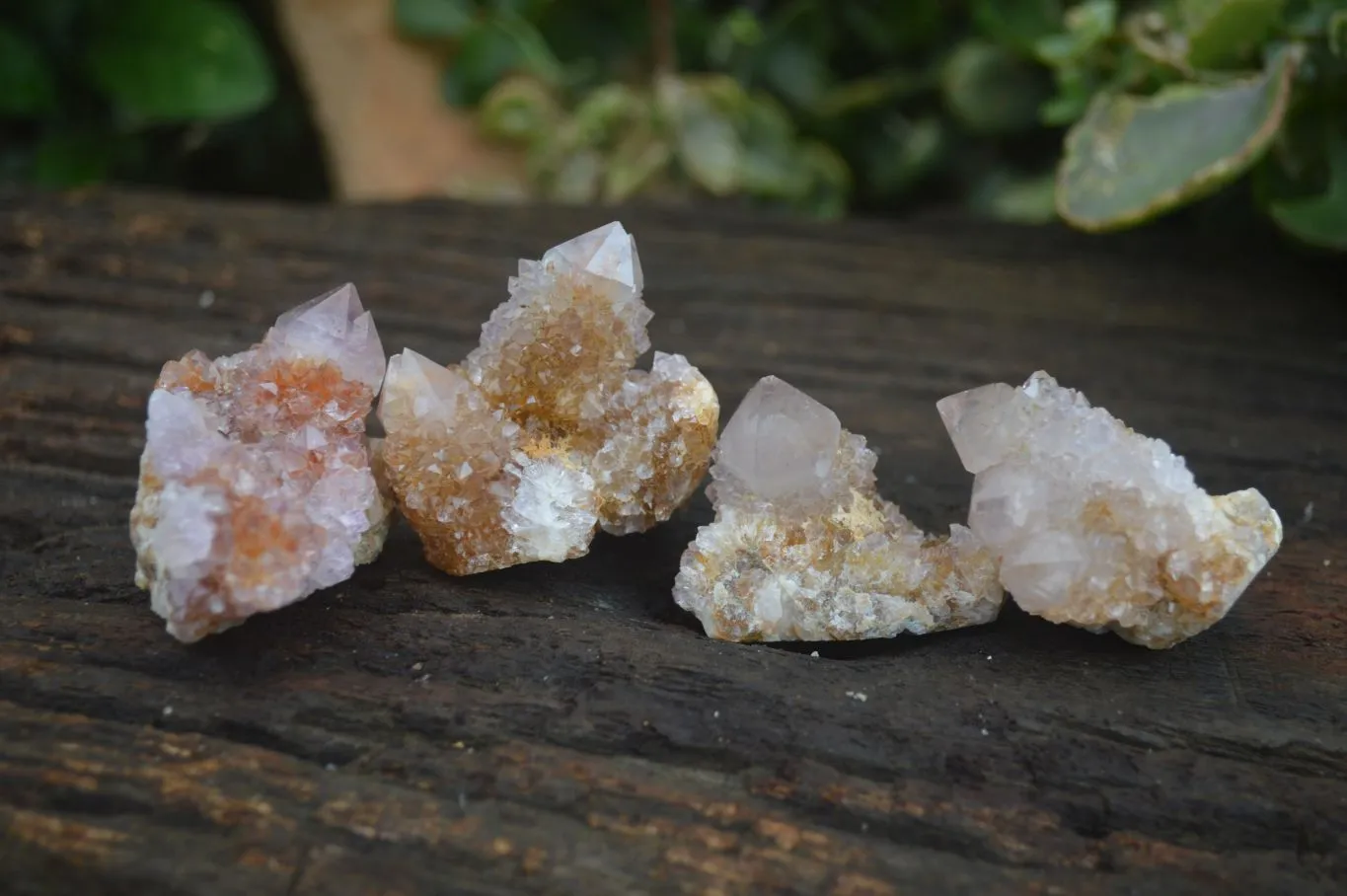 Natural Spirit Amethyst / Ametrine Quartz Crystals x 35 From Boekenhouthoek, South Africa