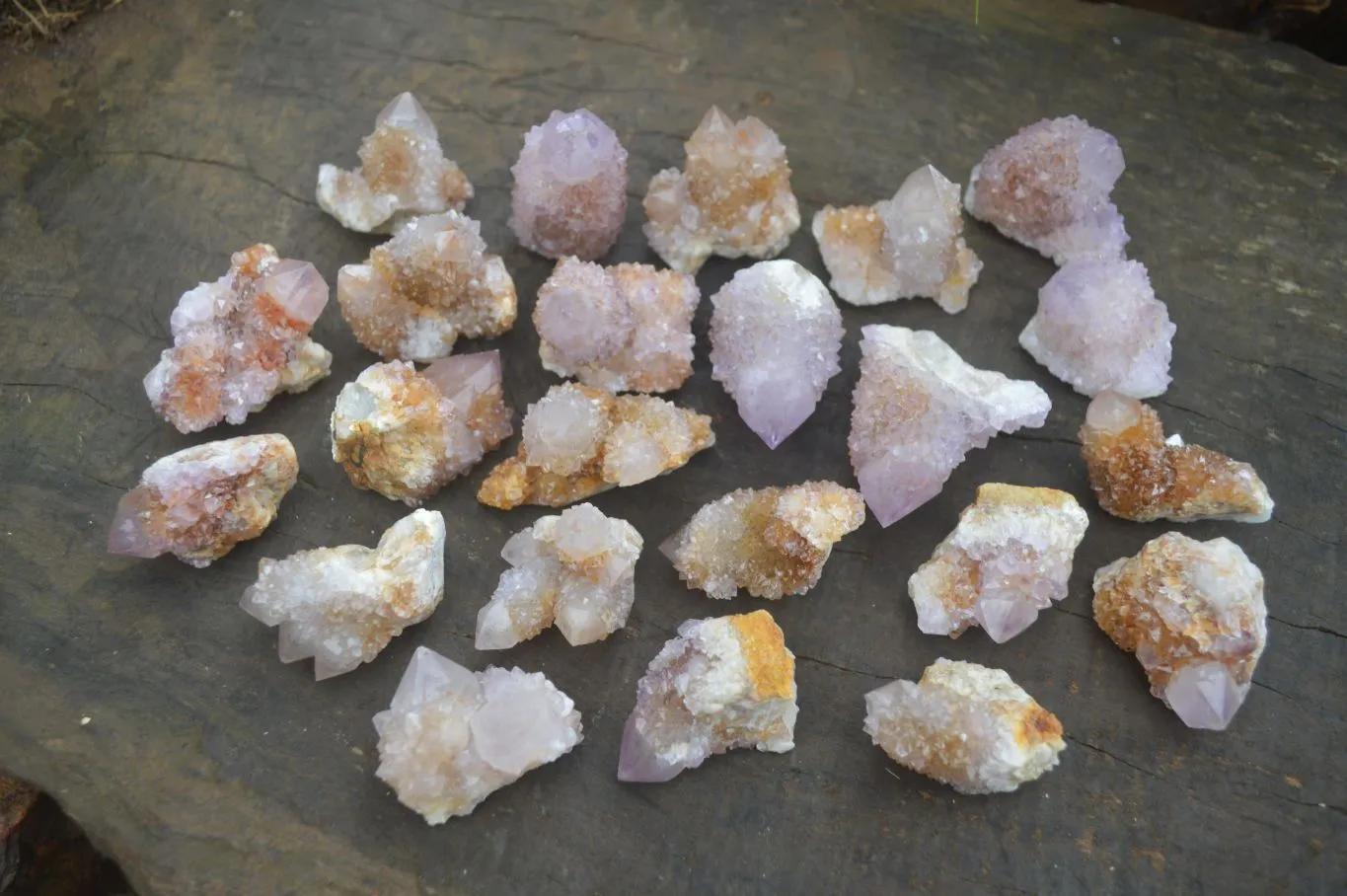 Natural Spirit Amethyst / Ametrine Quartz Crystals x 35 From Boekenhouthoek, South Africa