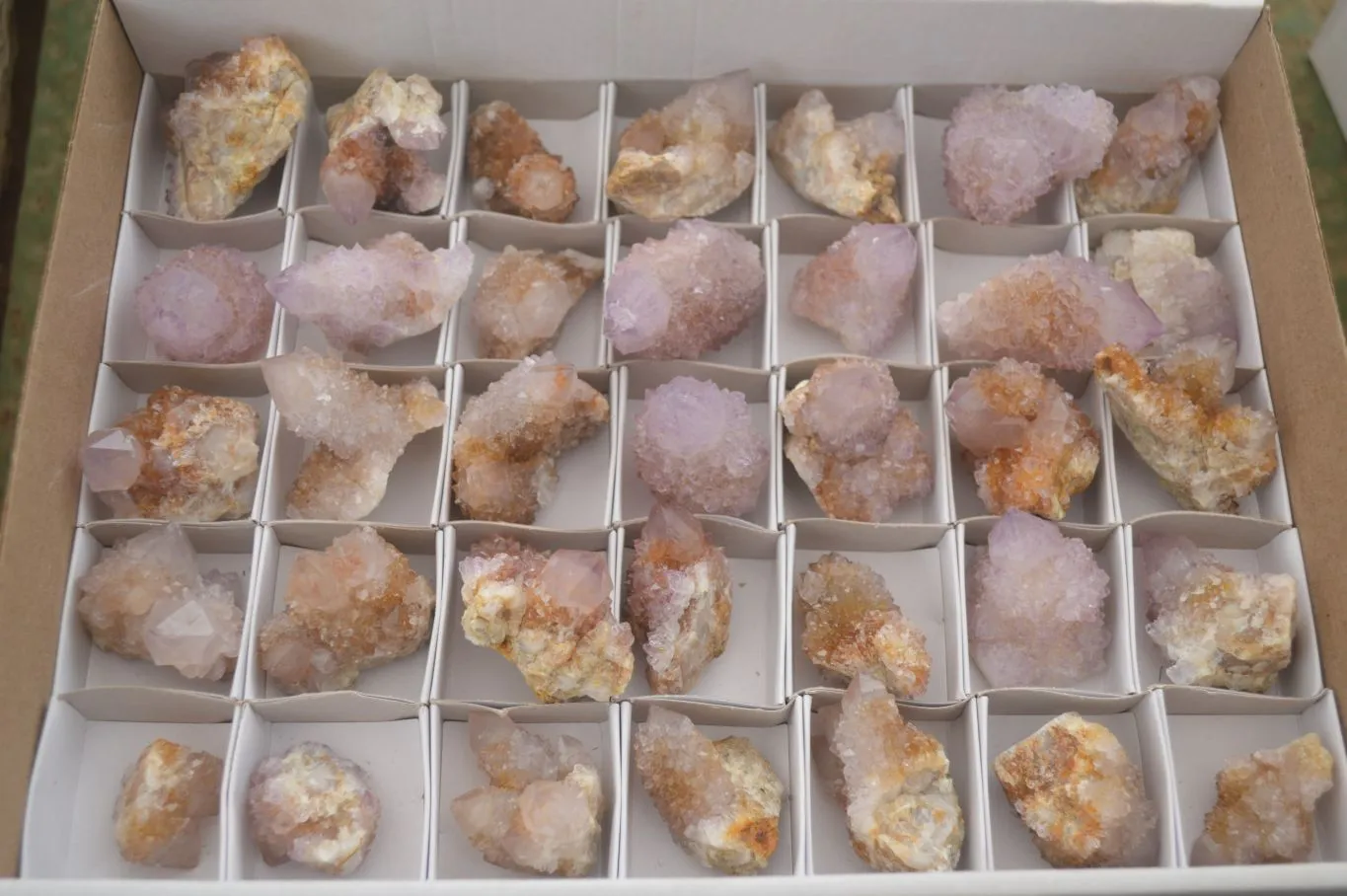 Natural Spirit Amethyst / Ametrine Quartz Crystals x 35 From Boekenhouthoek, South Africa