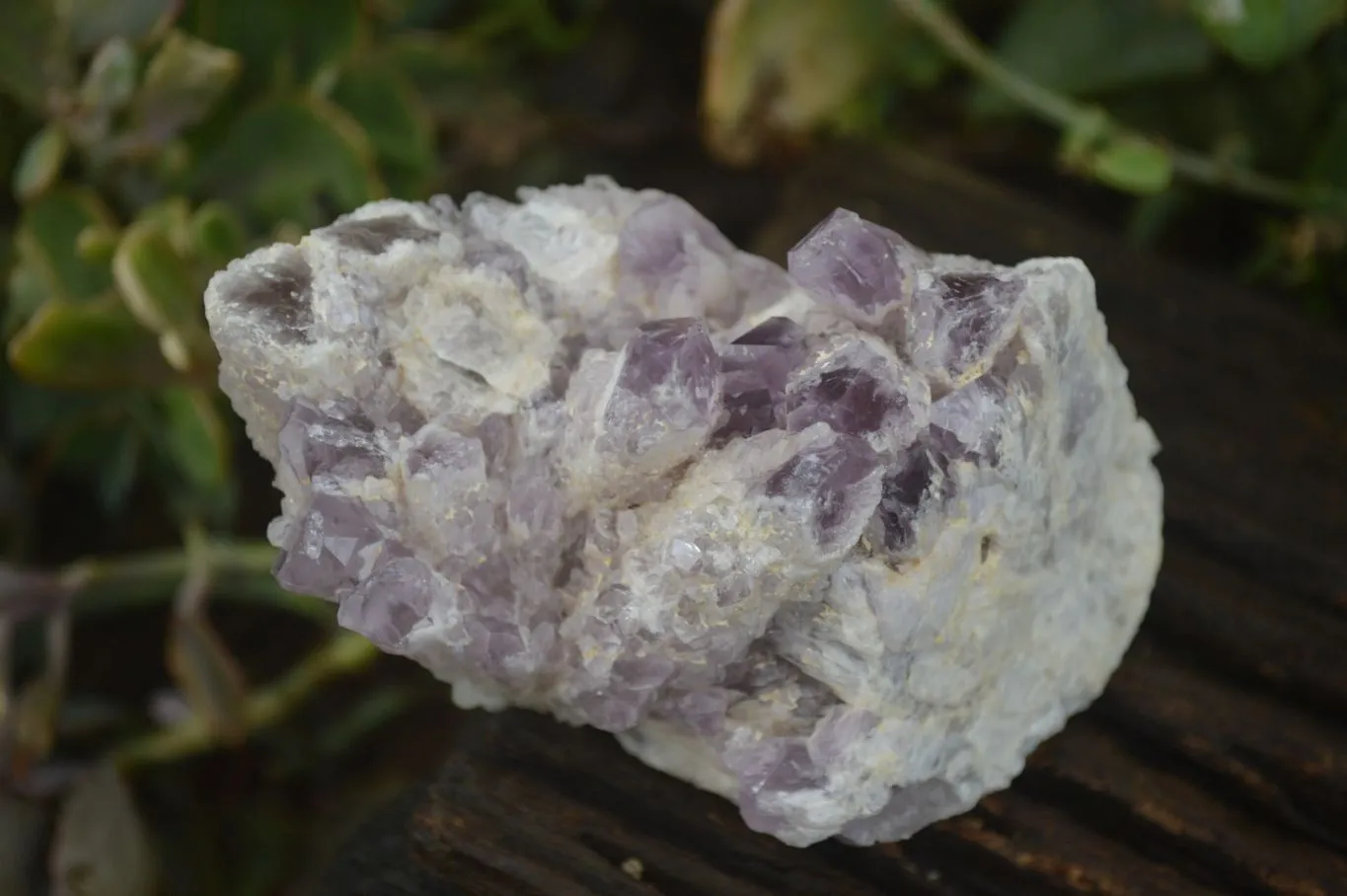 Natural Sugar Amethyst Clusters  x 2 From Zambia