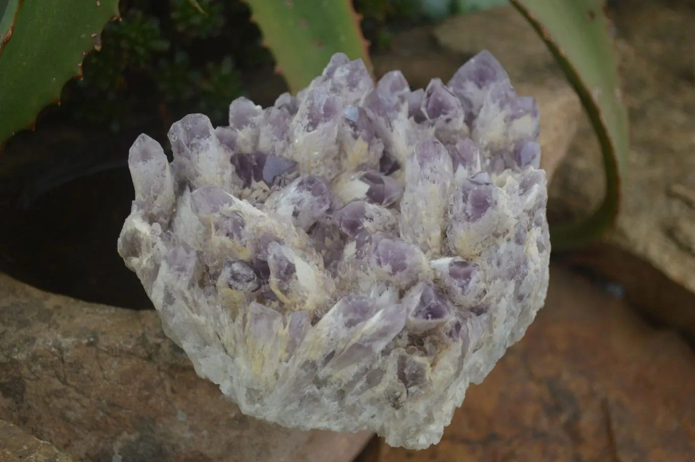 Natural Sugar Amethyst Clusters  x 2 From Zambia