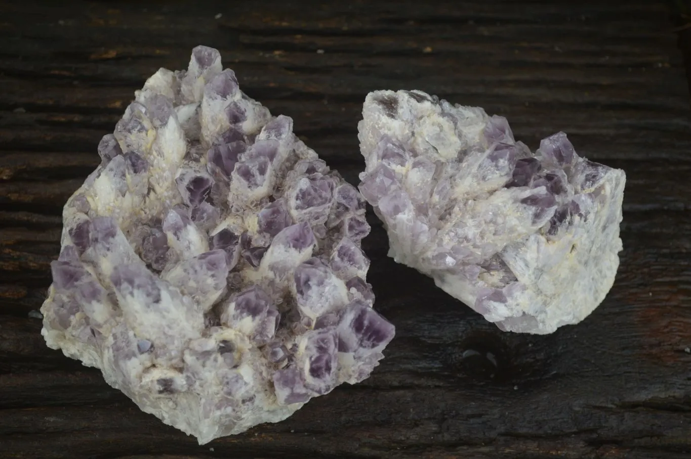 Natural Sugar Amethyst Clusters  x 2 From Zambia