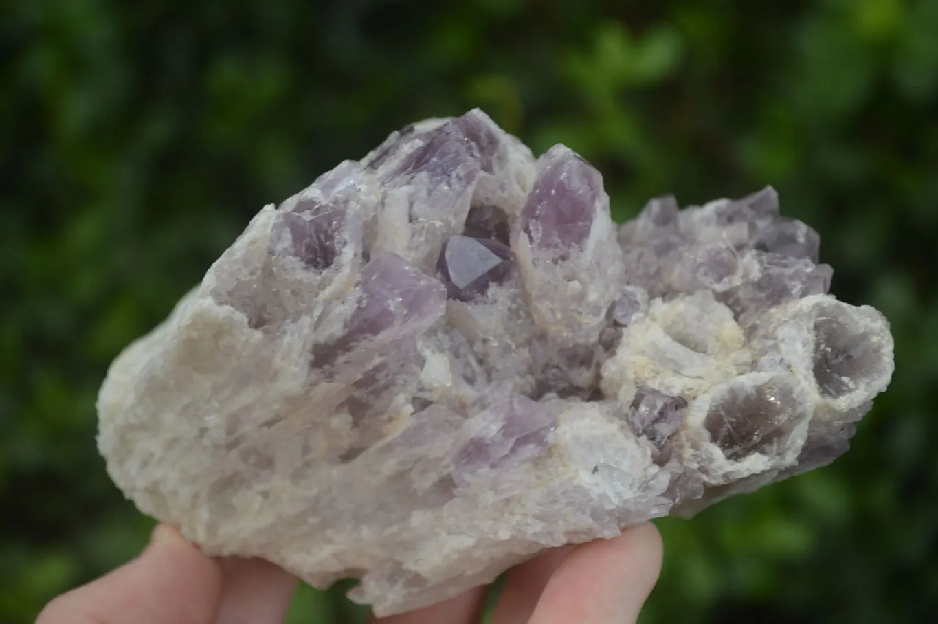 Natural Sugar Amethyst Clusters  x 2 From Zambia