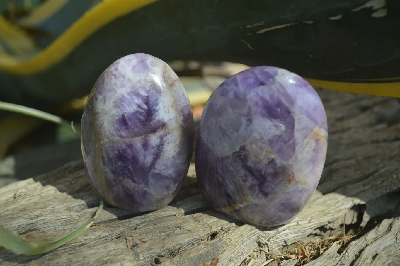 Polished Chevron Amethyst Free Forms x 12 From Madagascar