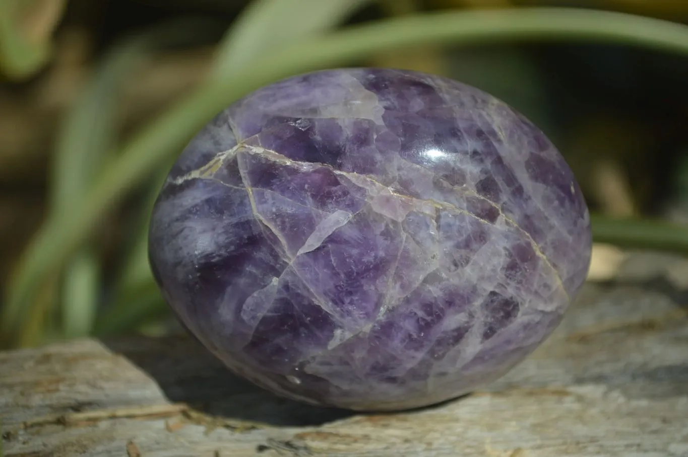 Polished Chevron Amethyst Free Forms x 12 From Madagascar