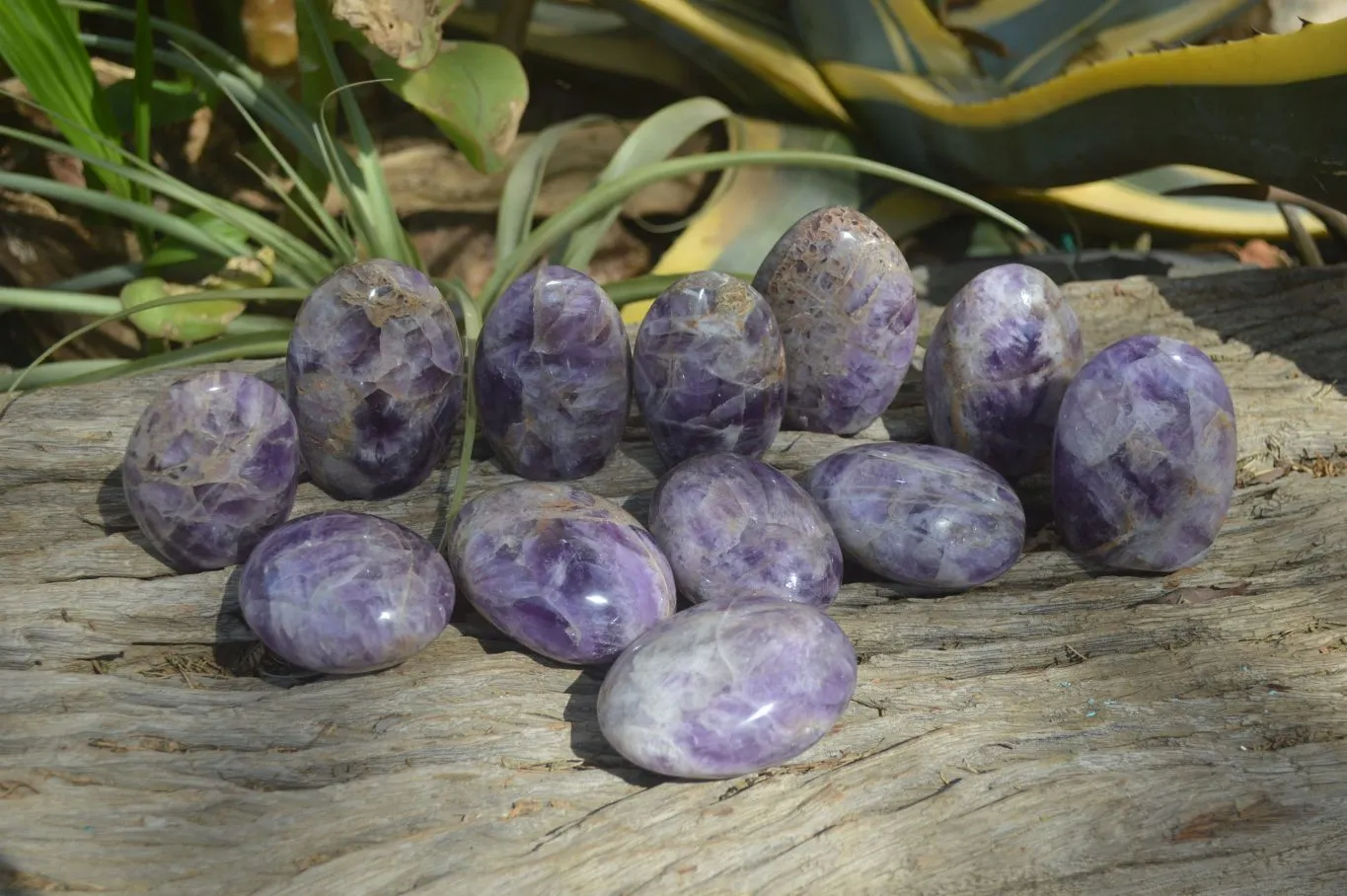 Polished Chevron Amethyst Free Forms x 12 From Madagascar