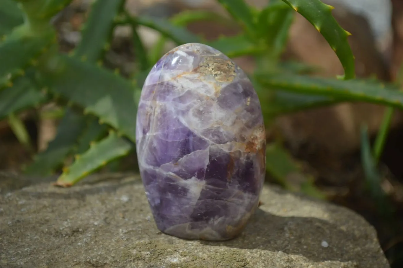 Polished Chevron Amethyst Free Forms x 12 From Madagascar