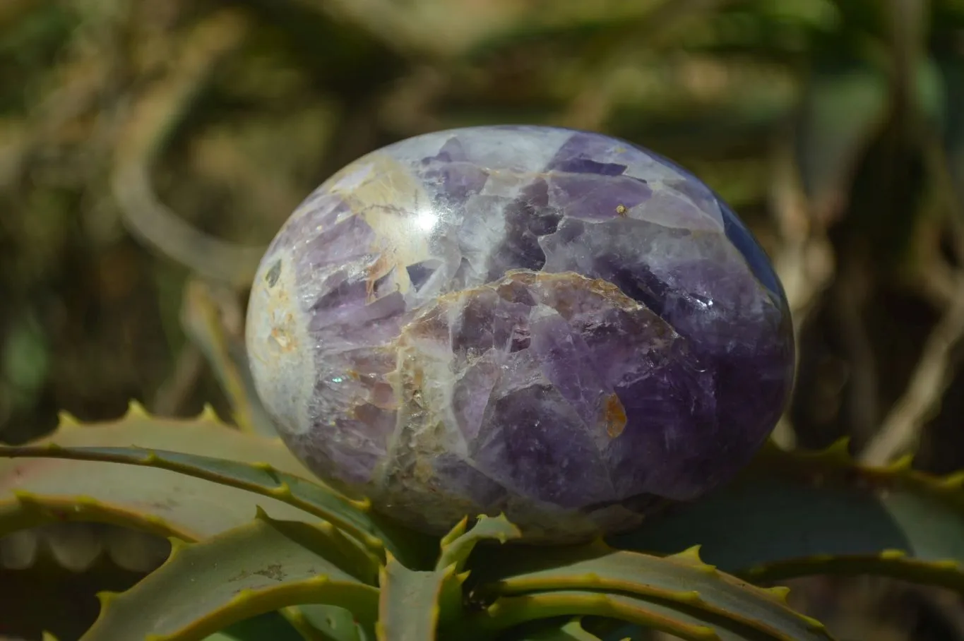 Polished Chevron Amethyst Free Forms x 12 From Madagascar