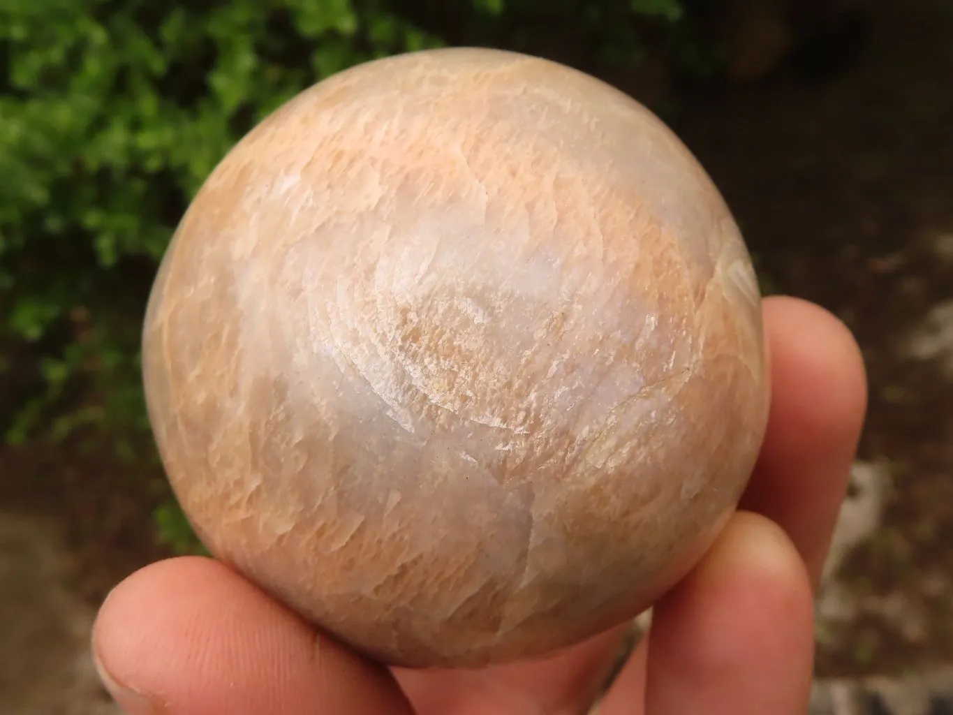 Polished Gorgeous Peach Moonstone Spheres  x 4 From Madagascar