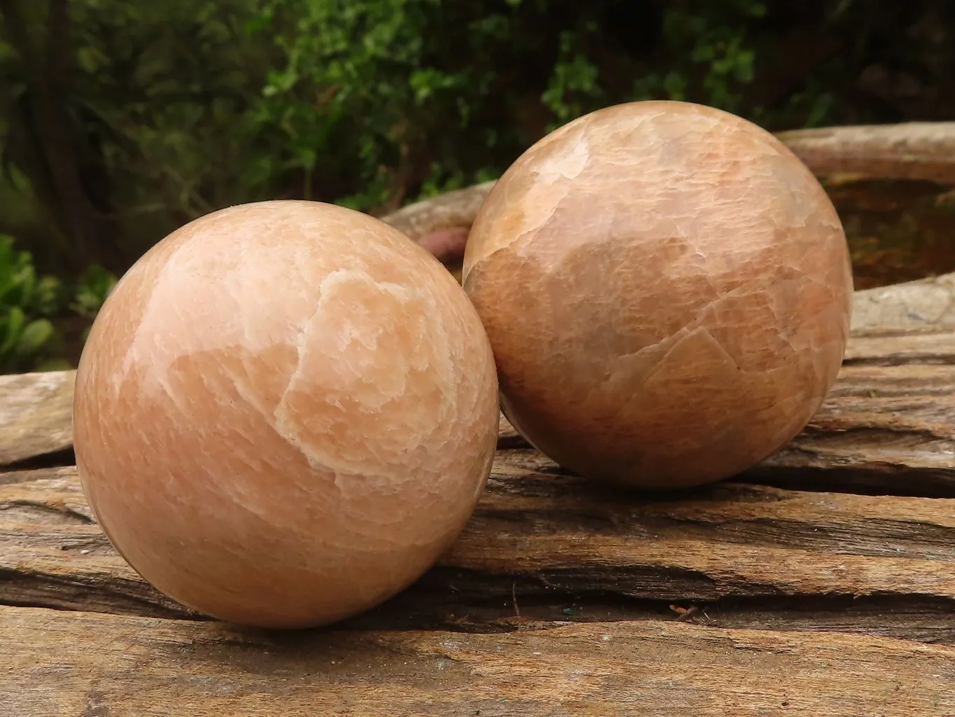 Polished Gorgeous Peach Moonstone Spheres  x 4 From Madagascar