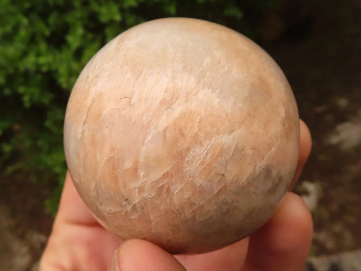 Polished Gorgeous Peach Moonstone Spheres  x 4 From Madagascar